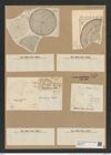 Coscinodiscus rothii (Ehr.) Grun. (de-Toni-Nr.: Genus 202, Species 4950) Zeichnungen Sammlung Grunow Nr. 8543 (NHMW-BOT-W0378177)